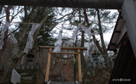 伊香保神社鳥居